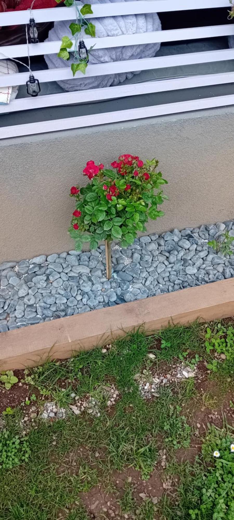 Ostanak kod kuće Art Room With Outdoor Living